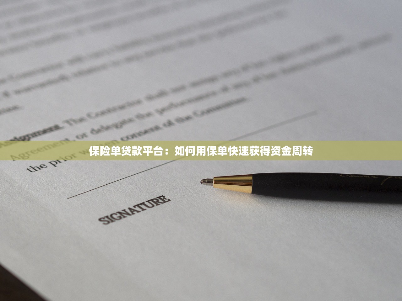 保险单贷款平台：如何用保单快速获得资金周转