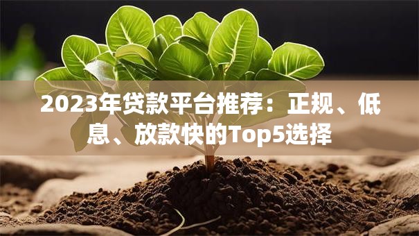 2023年贷款平台推荐：正规、低息、放款快的Top5选择