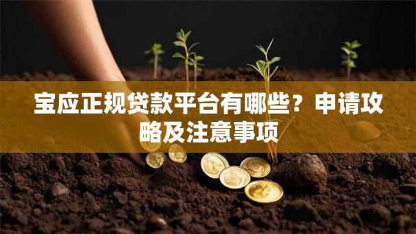 宝应正规贷款平台有哪些？申请攻略及注意事项