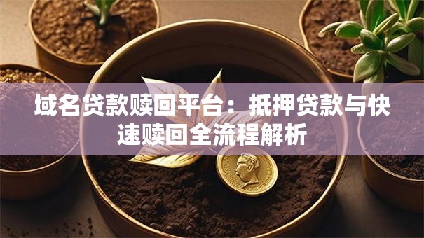 域名贷款赎回平台：抵押贷款与快速赎回全流程解析