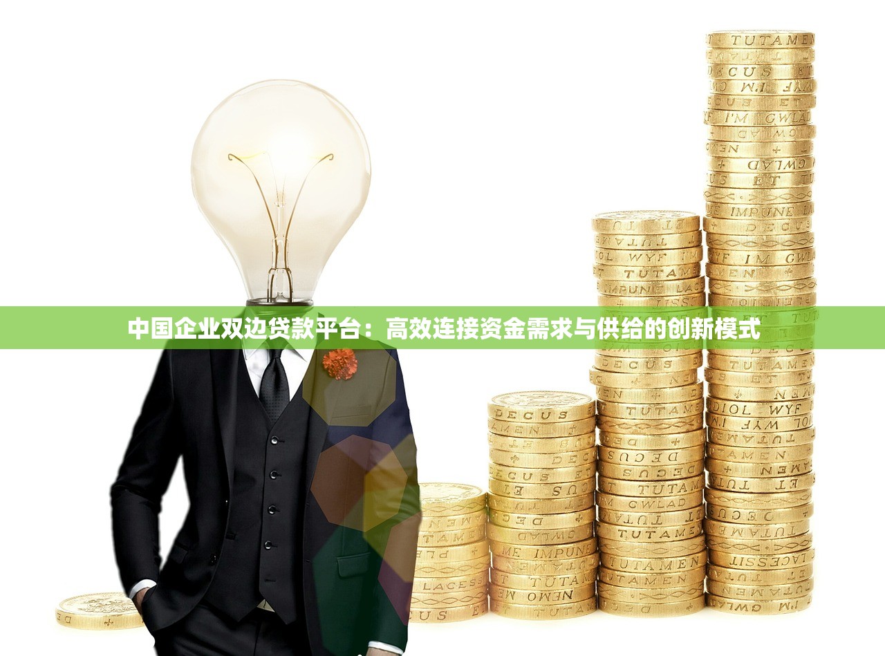 中国企业双边贷款平台：高效连接资金需求与供给的创新模式