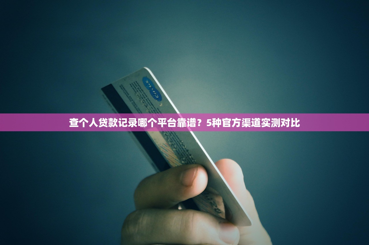 查个人贷款记录哪个平台靠谱？5种官方渠道实测对比