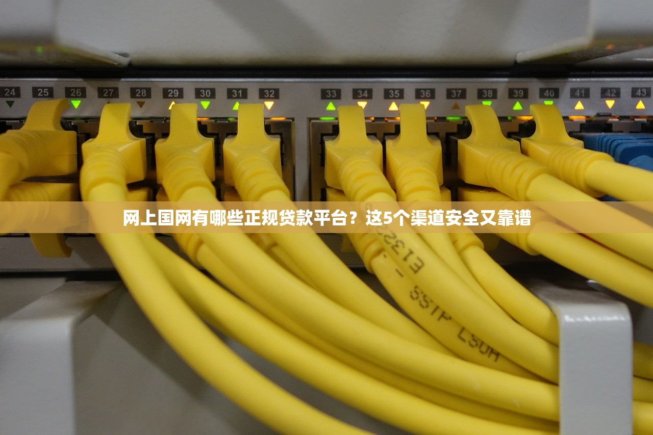 网上国网有哪些正规贷款平台？这5个渠道安全又靠谱