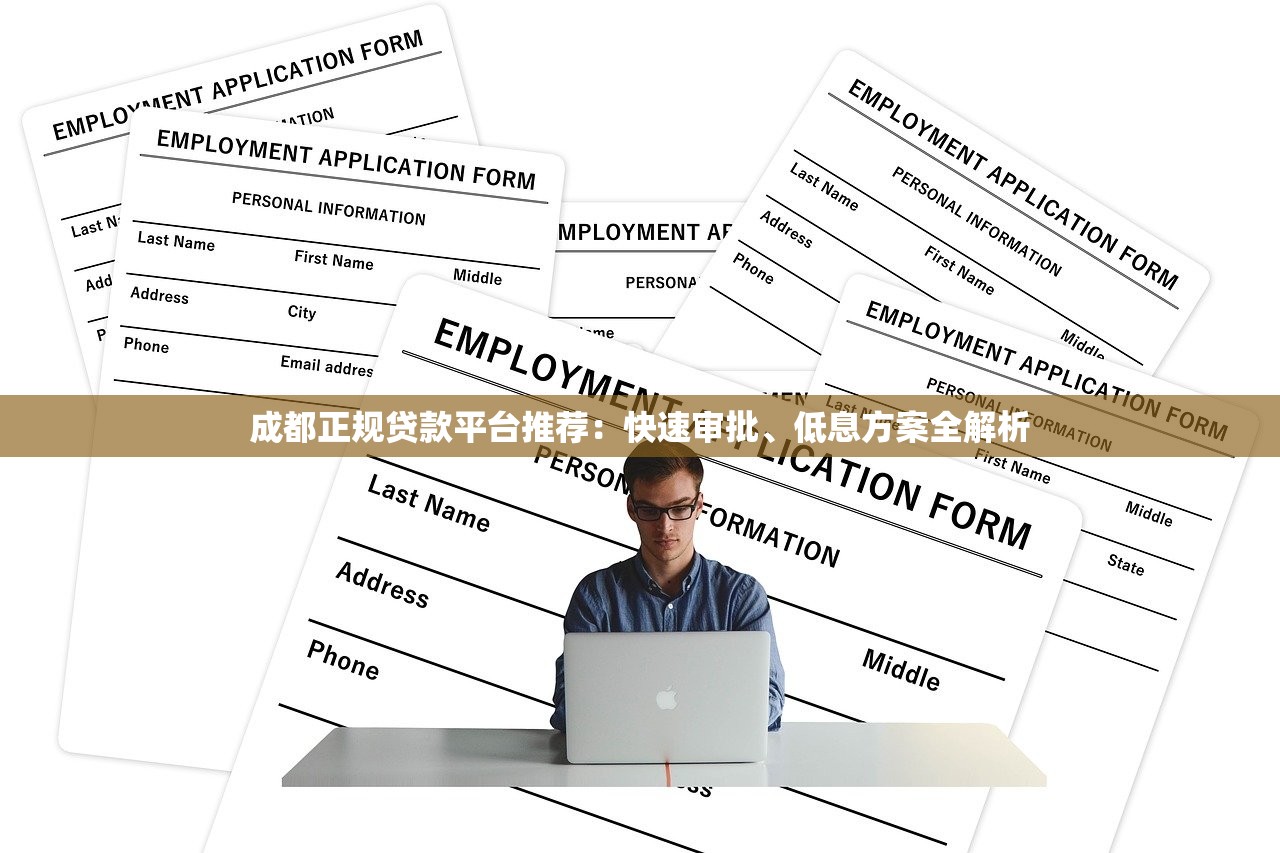 成都正规贷款平台推荐：快速审批、低息方案全解析