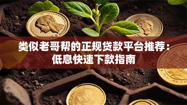 类似老哥帮的正规贷款平台推荐：低息快速下款指南