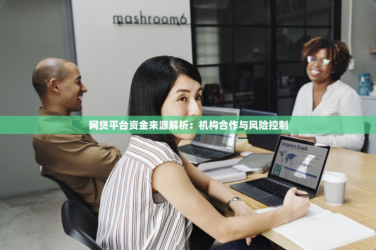 网贷平台资金来源解析：机构合作与风险控制