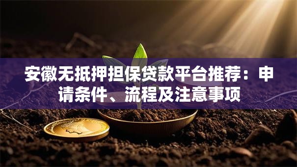 安徽无抵押担保贷款平台推荐：申请条件、流程及注意事项