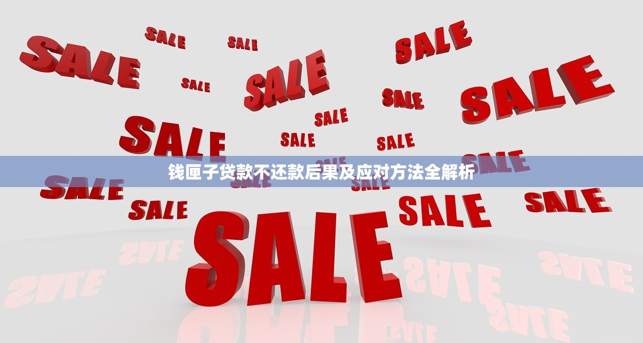 钱匣子贷款不还款后果及应对方法全解析