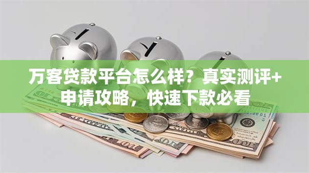 万客贷款平台怎么样？真实测评+申请攻略，快速下款必看