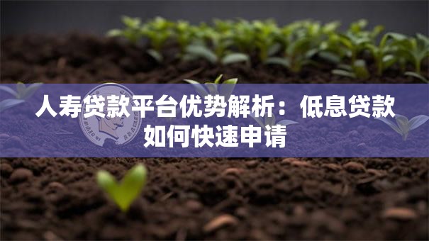 人寿贷款平台优势解析：低息贷款如何快速申请