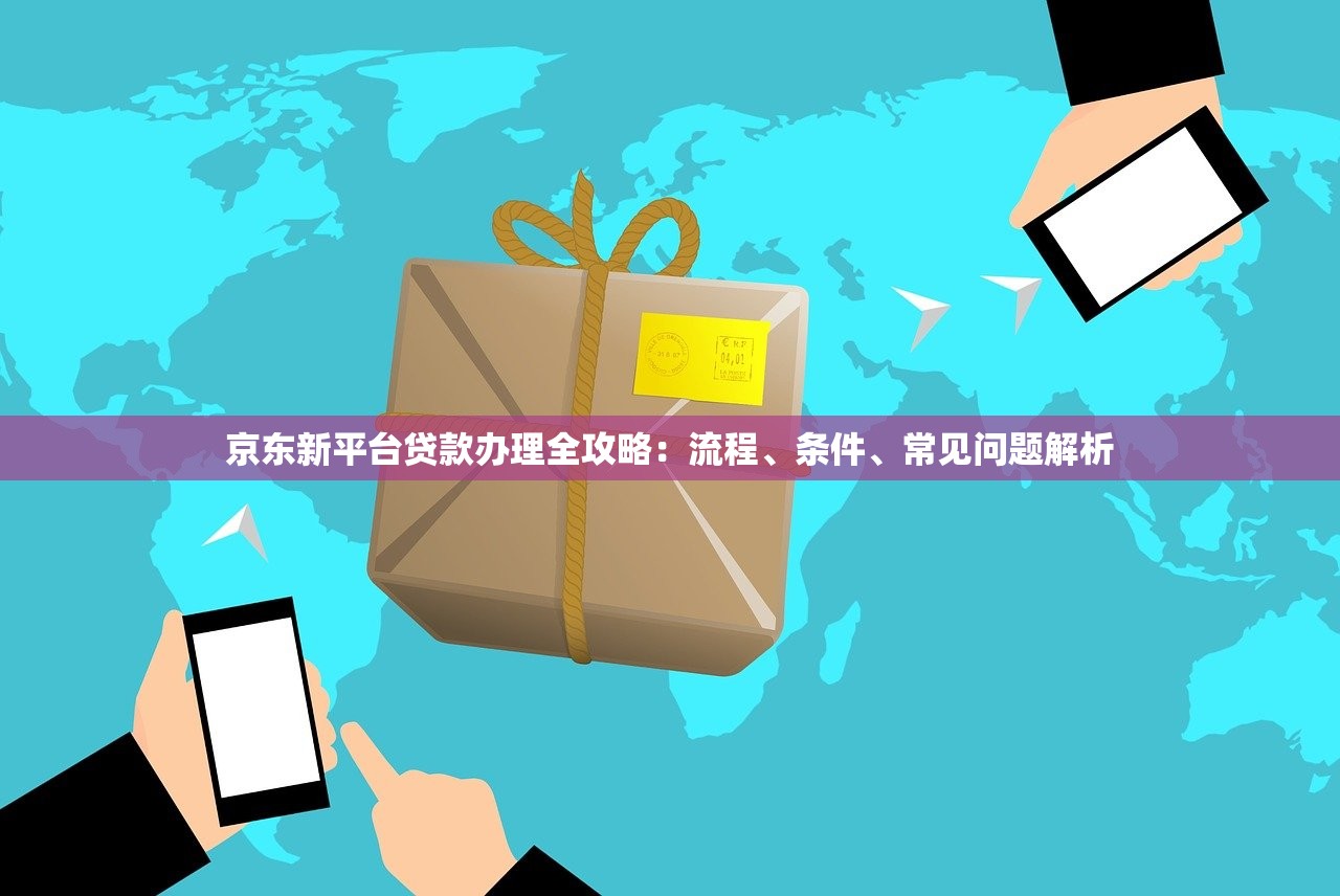 京东新平台贷款办理全攻略：流程、条件、常见问题解析