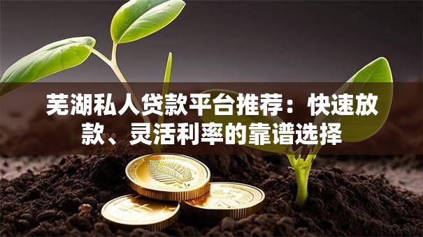 芜湖私人贷款平台推荐：快速放款、灵活利率的靠谱选择