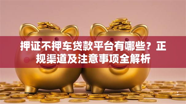 押证不押车贷款平台有哪些？正规渠道及注意事项全解析