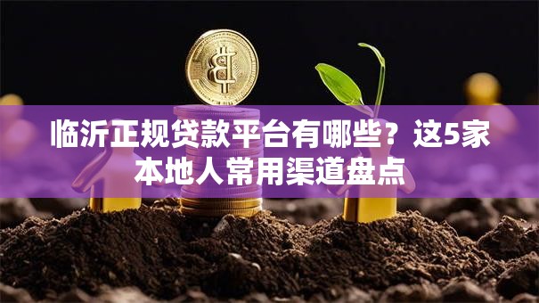 临沂正规贷款平台有哪些？这5家本地人常用渠道盘点