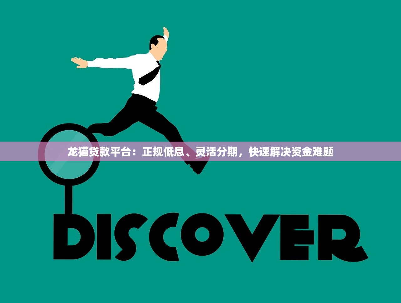 龙猫贷款平台：正规低息、灵活分期，快速解决资金难题