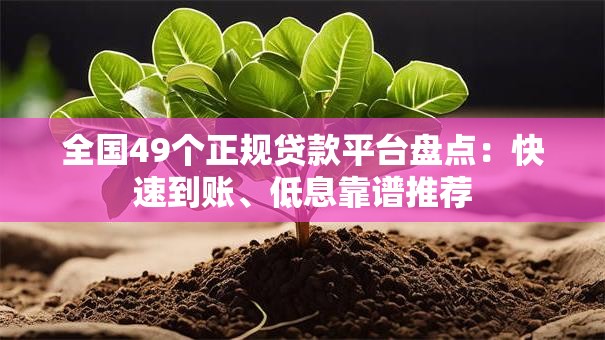 全国49个正规贷款平台盘点:快速到账、低息靠谱推荐 全国49个正规贷款平台盘点:快速到账、低息靠谱推荐