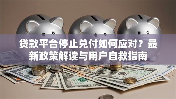 贷款平台停止兑付如何应对？最新政策解读与用户自救指南