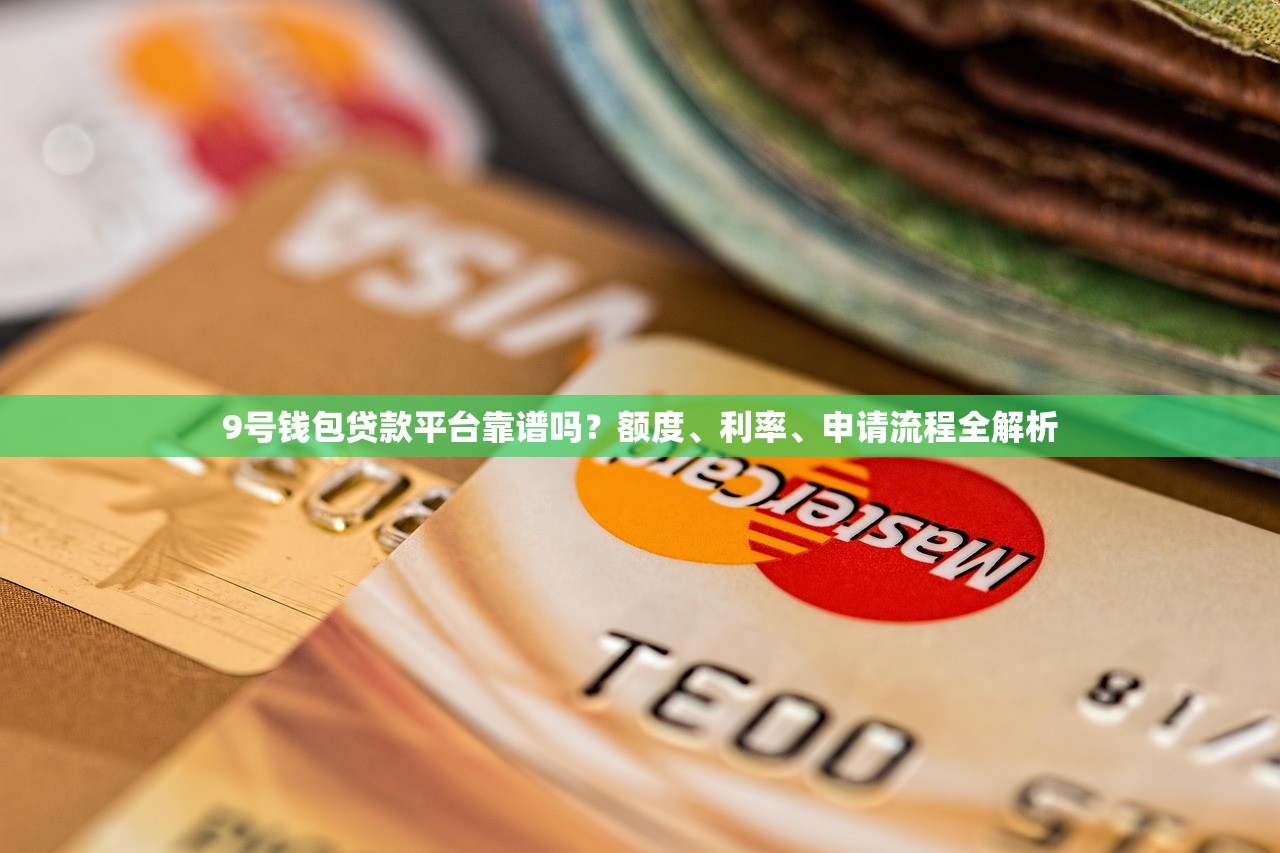 9号钱包贷款平台靠谱吗？额度、利率、申请流程全解析