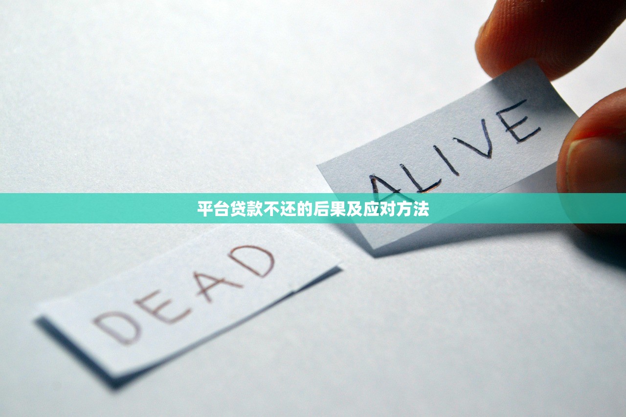 平台贷款不还的后果及应对方法