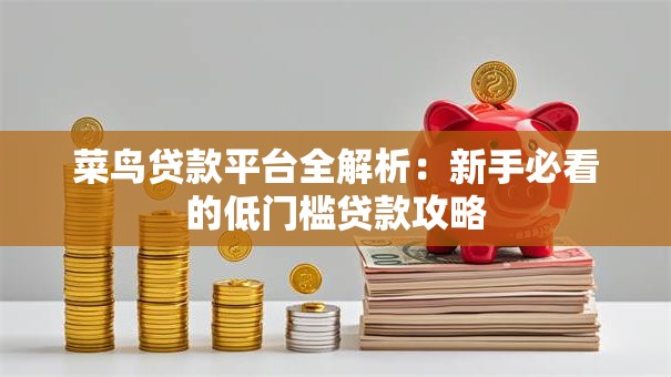 菜鸟贷款平台全解析：新手必看的低门槛贷款攻略