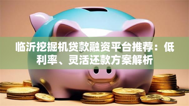 临沂挖掘机贷款融资平台推荐：低利率、灵活还款方案解析