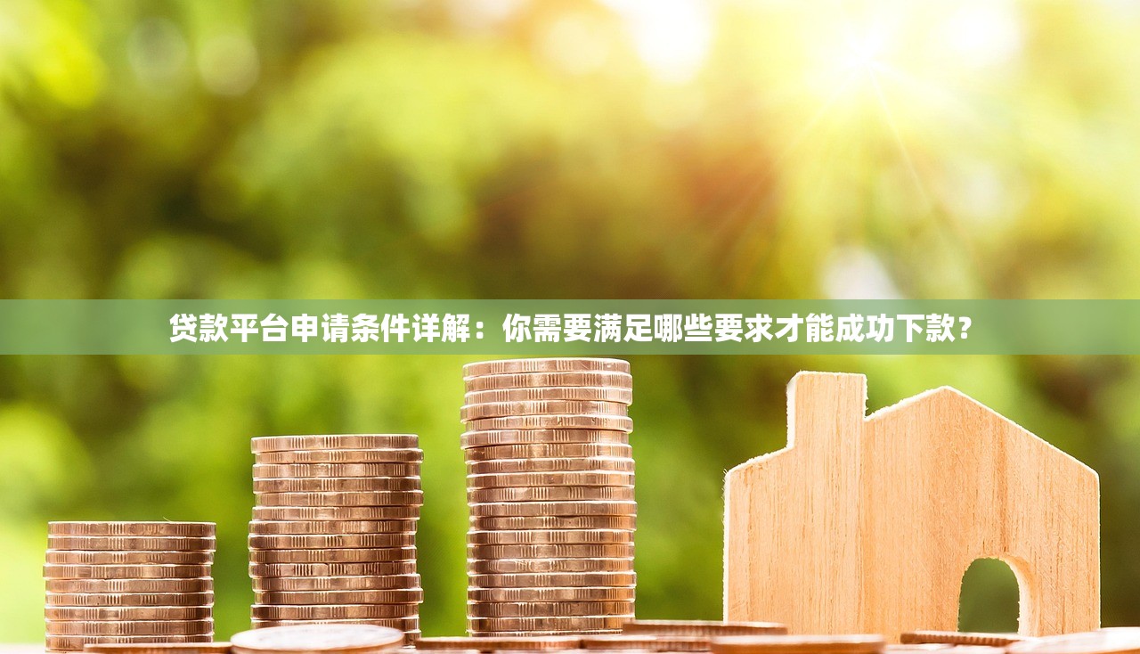 贷款平台申请条件详解：你需要满足哪些要求才能成功下款？