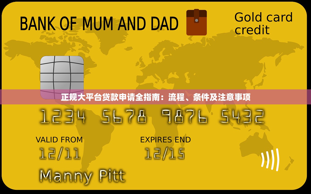 正规大平台贷款申请全指南：流程、条件及注意事项