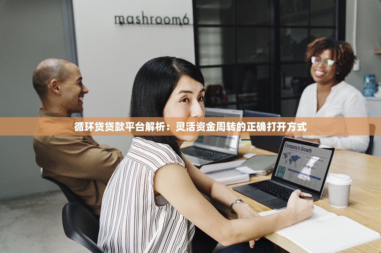 循环贷贷款平台解析：灵活资金周转的正确打开方式