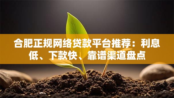 合肥正规网络贷款平台推荐：利息低、下款快、靠谱渠道盘点