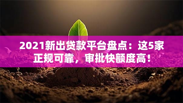 2021新出贷款平台盘点：这5家正规可靠，审批快额度高！