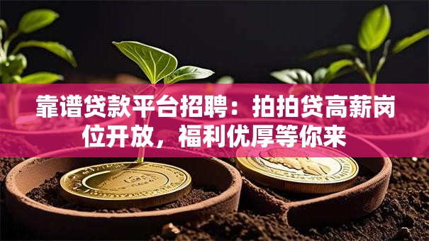 靠谱贷款平台招聘：拍拍贷高薪岗位开放，福利优厚等你来