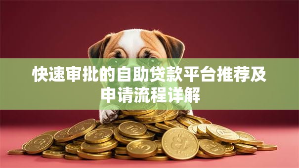 快速审批的自助贷款平台推荐及申请流程详解