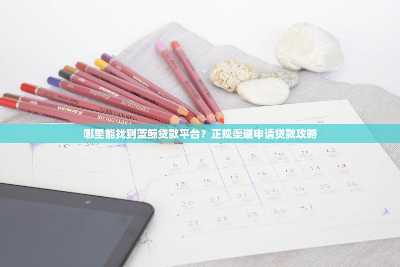 哪里能找到蓝鲸贷款平台？正规渠道申请贷款攻略