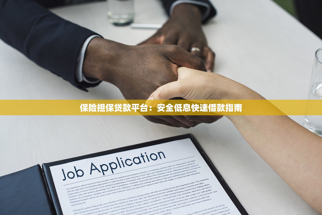 保险担保贷款平台：安全低息快速借款指南