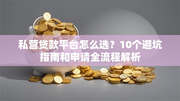 私营贷款平台怎么选？10个避坑指南和申请全流程解析