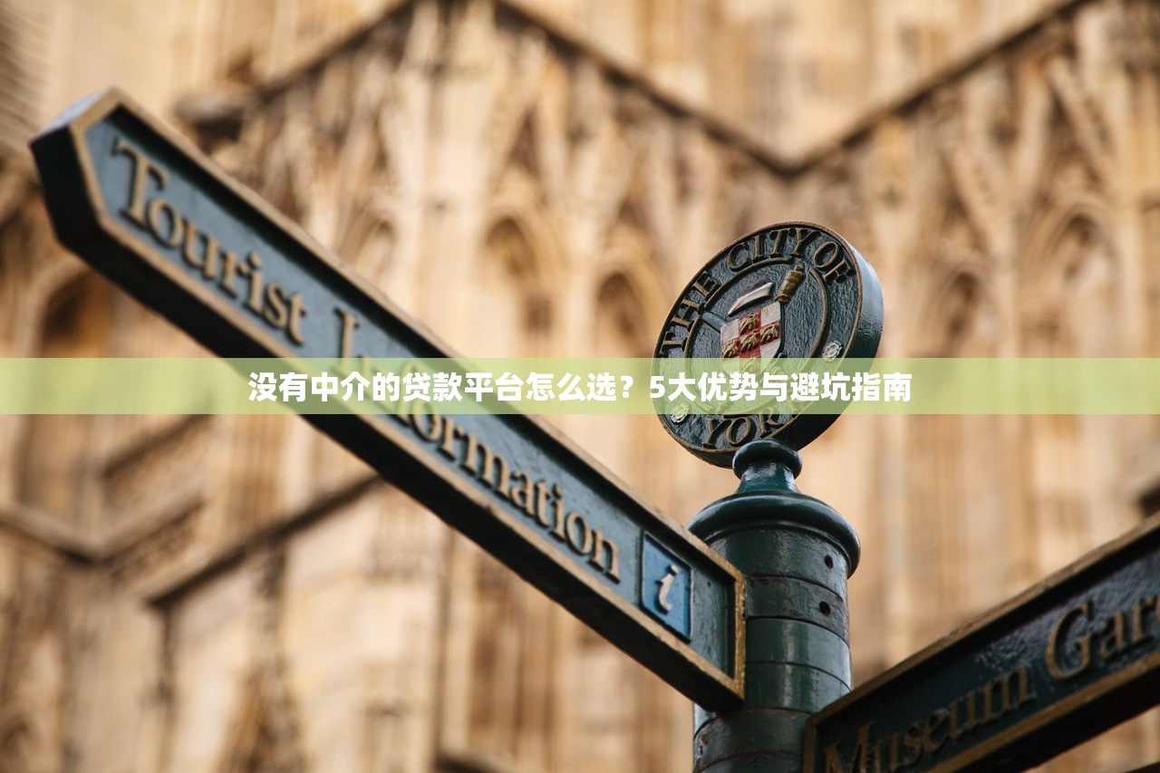 没有中介的贷款平台怎么选？5大优势与避坑指南