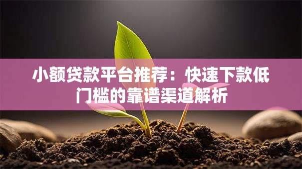 小额贷款平台推荐:快速下款低门槛的靠谱渠道解析 小额贷款平台推荐:快速下款低门槛的靠谱渠道解析