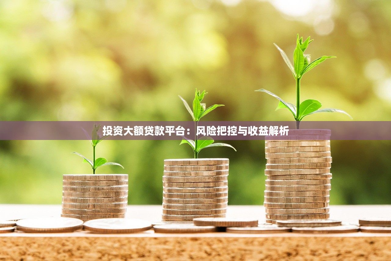 投资大额贷款平台：风险把控与收益解析