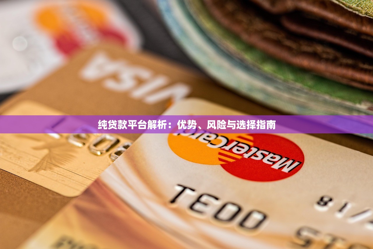纯贷款平台解析：优势、风险与选择指南