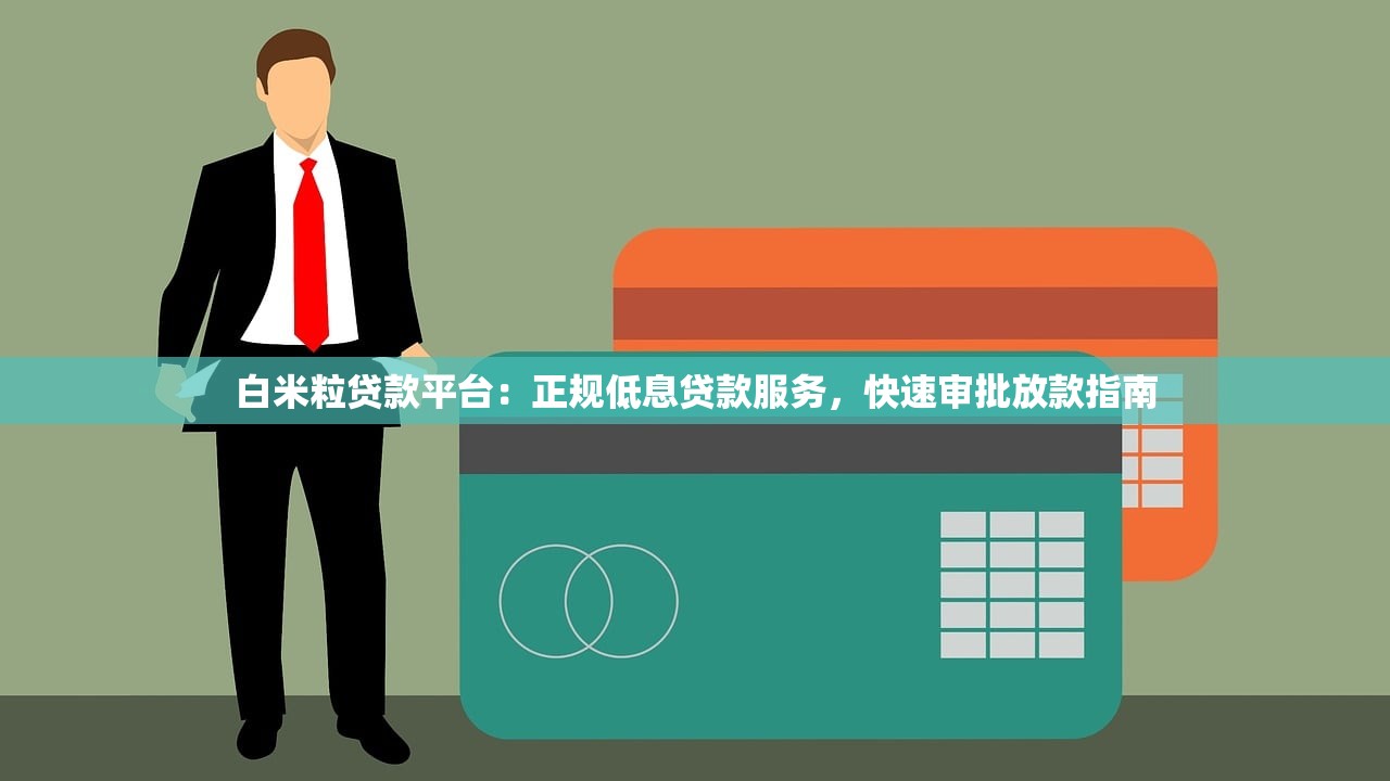 白米粒贷款平台：正规低息贷款服务，快速审批放款指南