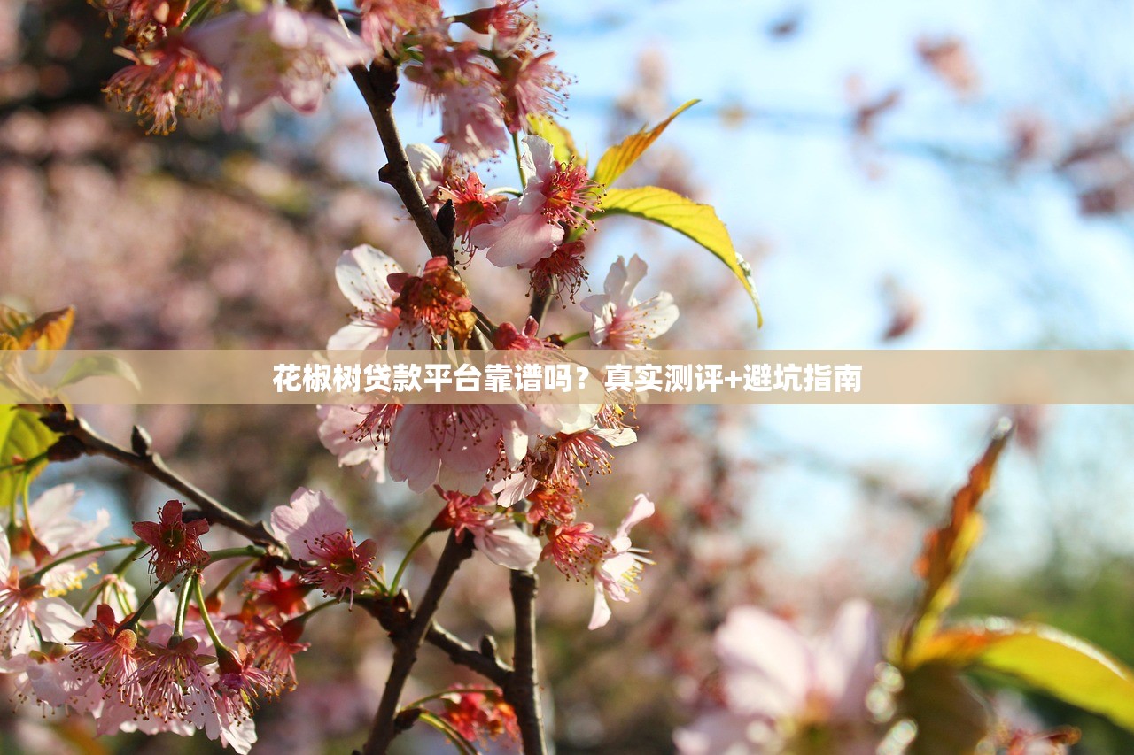 花椒树贷款平台靠谱吗?真实测评+避坑指南 花椒树贷款平台靠谱吗?真实测评+避坑指南