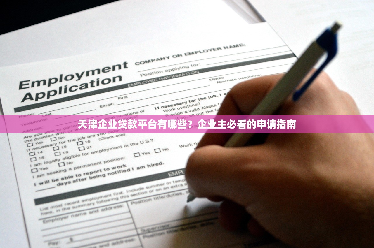 天津企业贷款平台有哪些？企业主必看的申请指南
