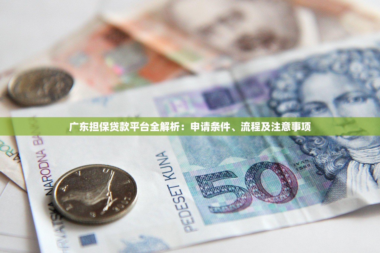 广东担保贷款平台全解析：申请条件、流程及注意事项