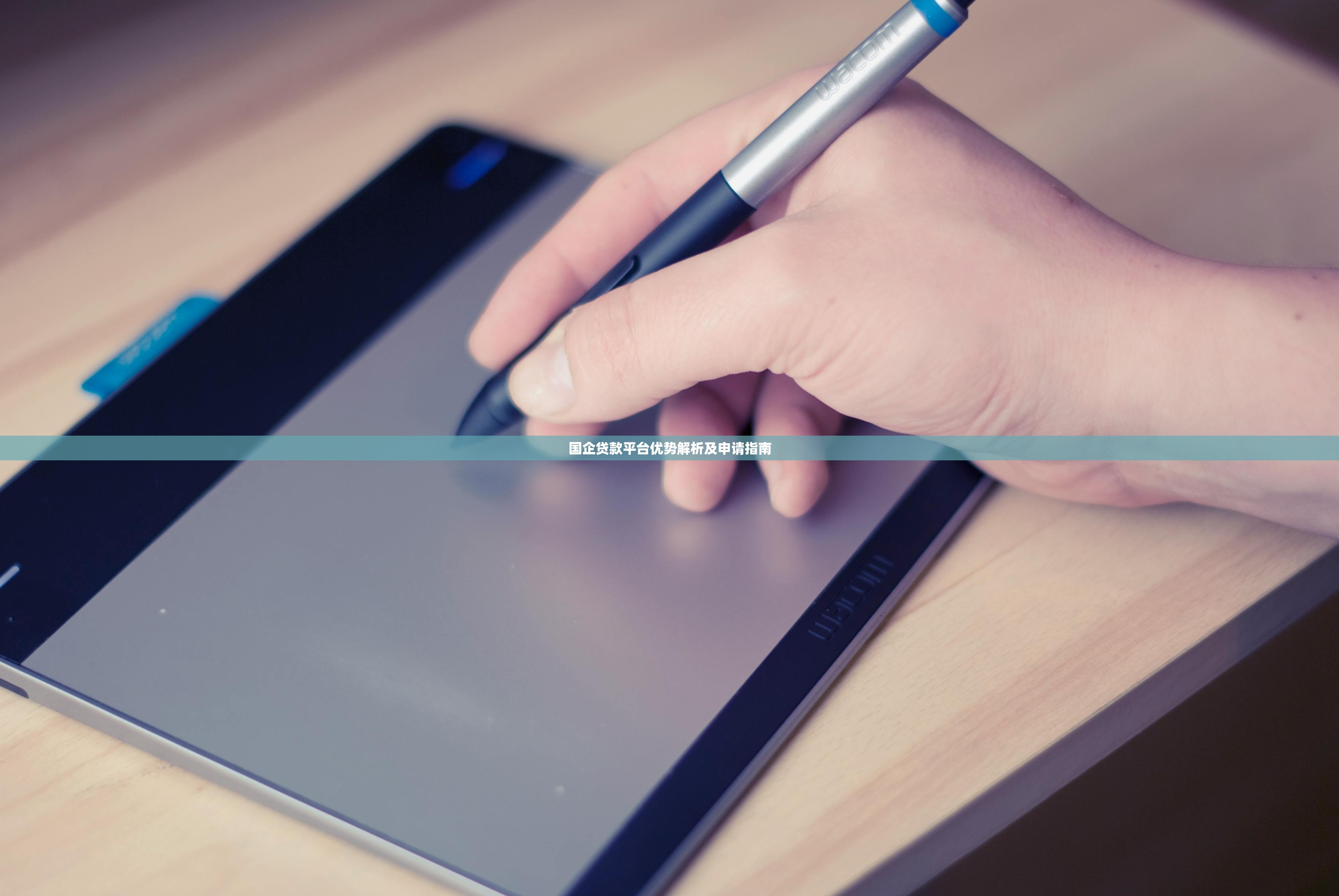 国企贷款平台优势解析及申请指南