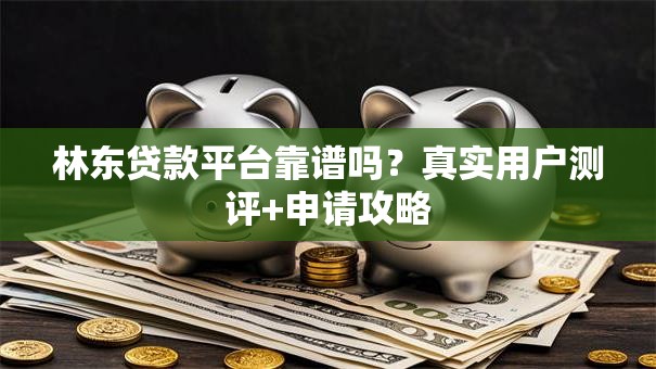 林东贷款平台靠谱吗？真实用户测评+申请攻略