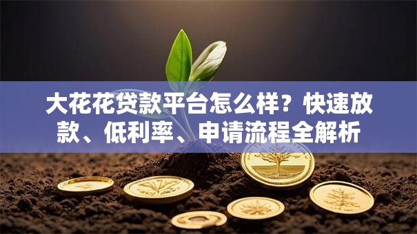 大花花贷款平台怎么样？快速放款、低利率、申请流程全解析