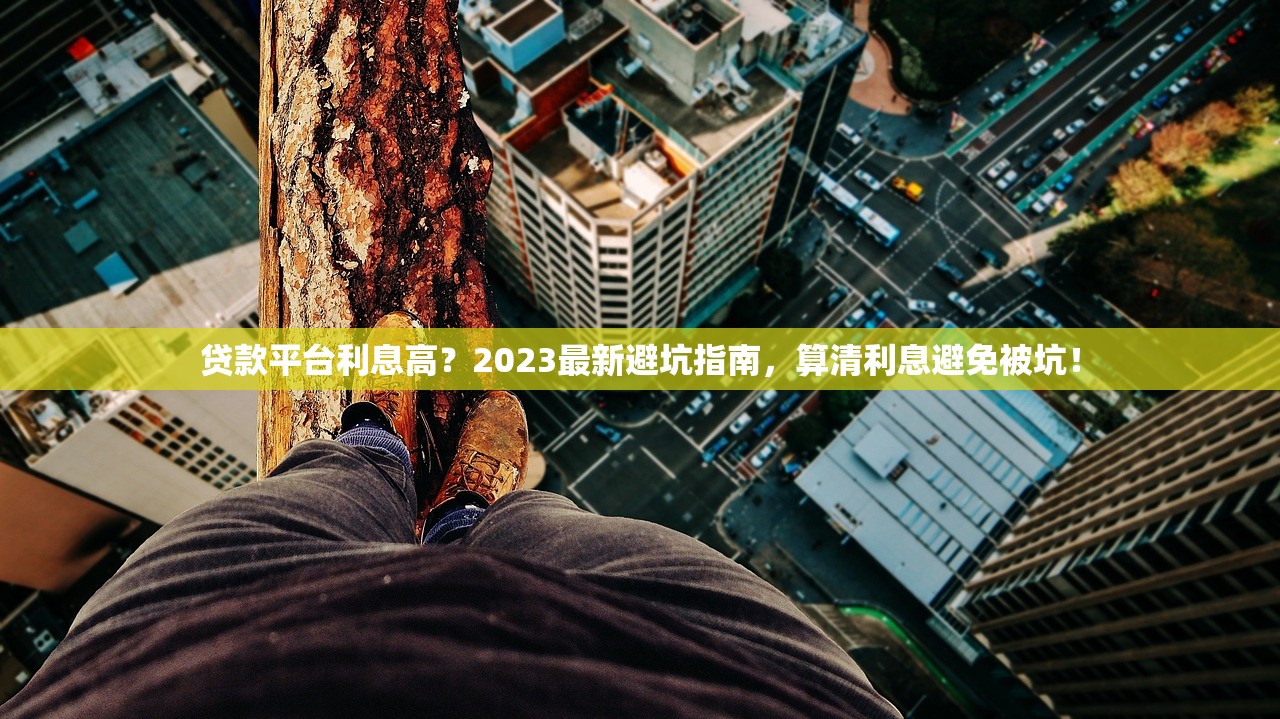 贷款平台利息高？2023最新避坑指南，算清利息避免被坑！