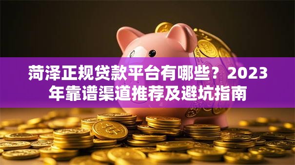 菏泽正规贷款平台有哪些？2023年靠谱渠道推荐及避坑指南