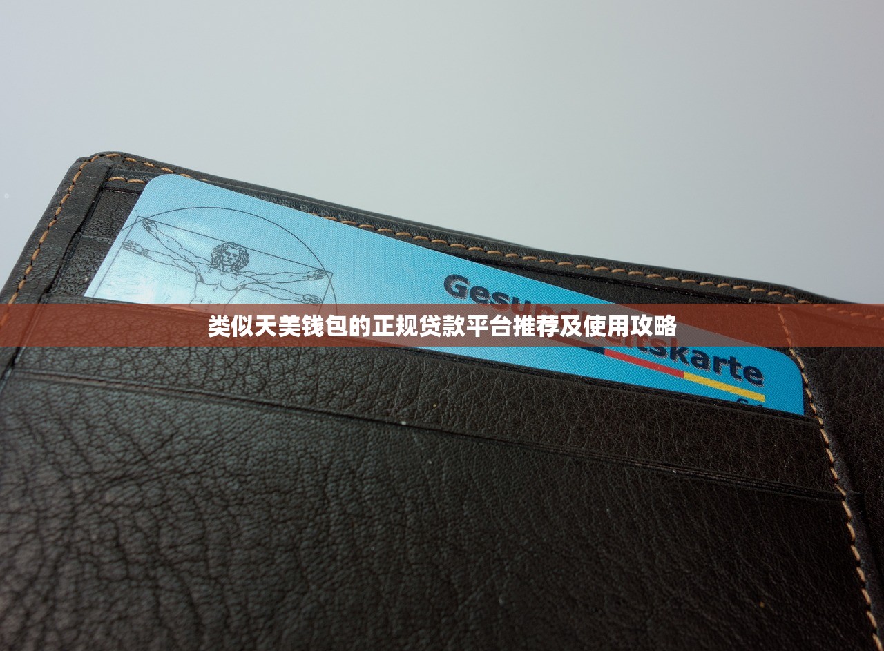 类似天美钱包的正规贷款平台推荐及使用攻略