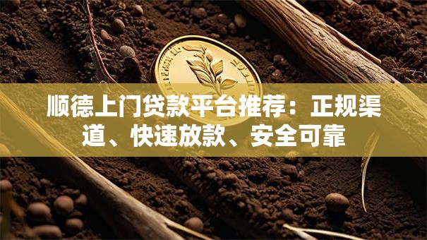 顺德上门贷款平台推荐：正规渠道、快速放款、安全可靠